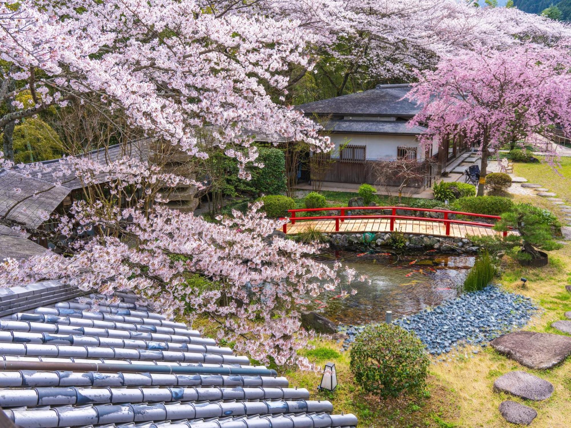 ホテル 桜泉会館 Izumi  エクステリア 写真