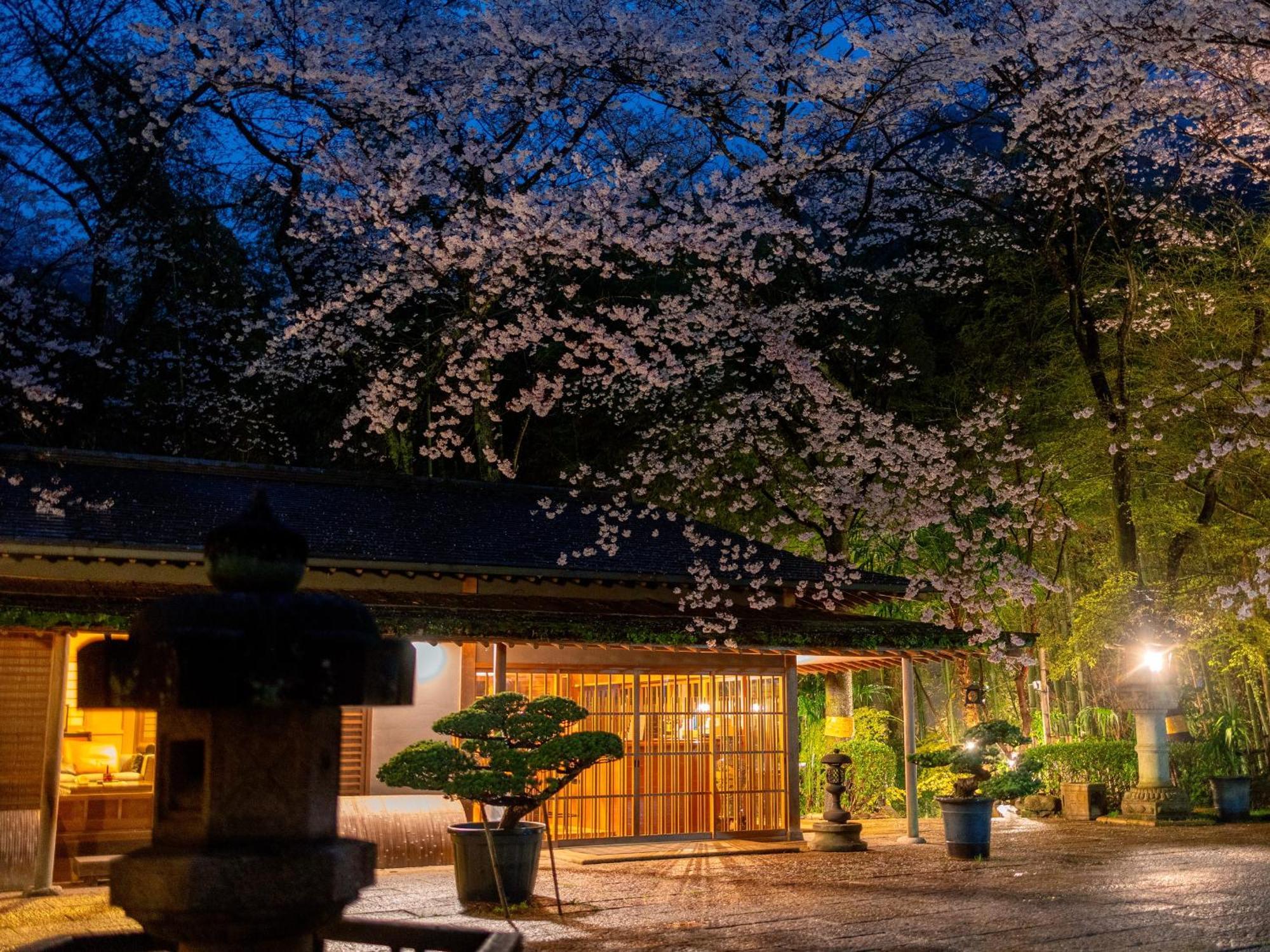 ホテル 桜泉会館 Izumi  エクステリア 写真