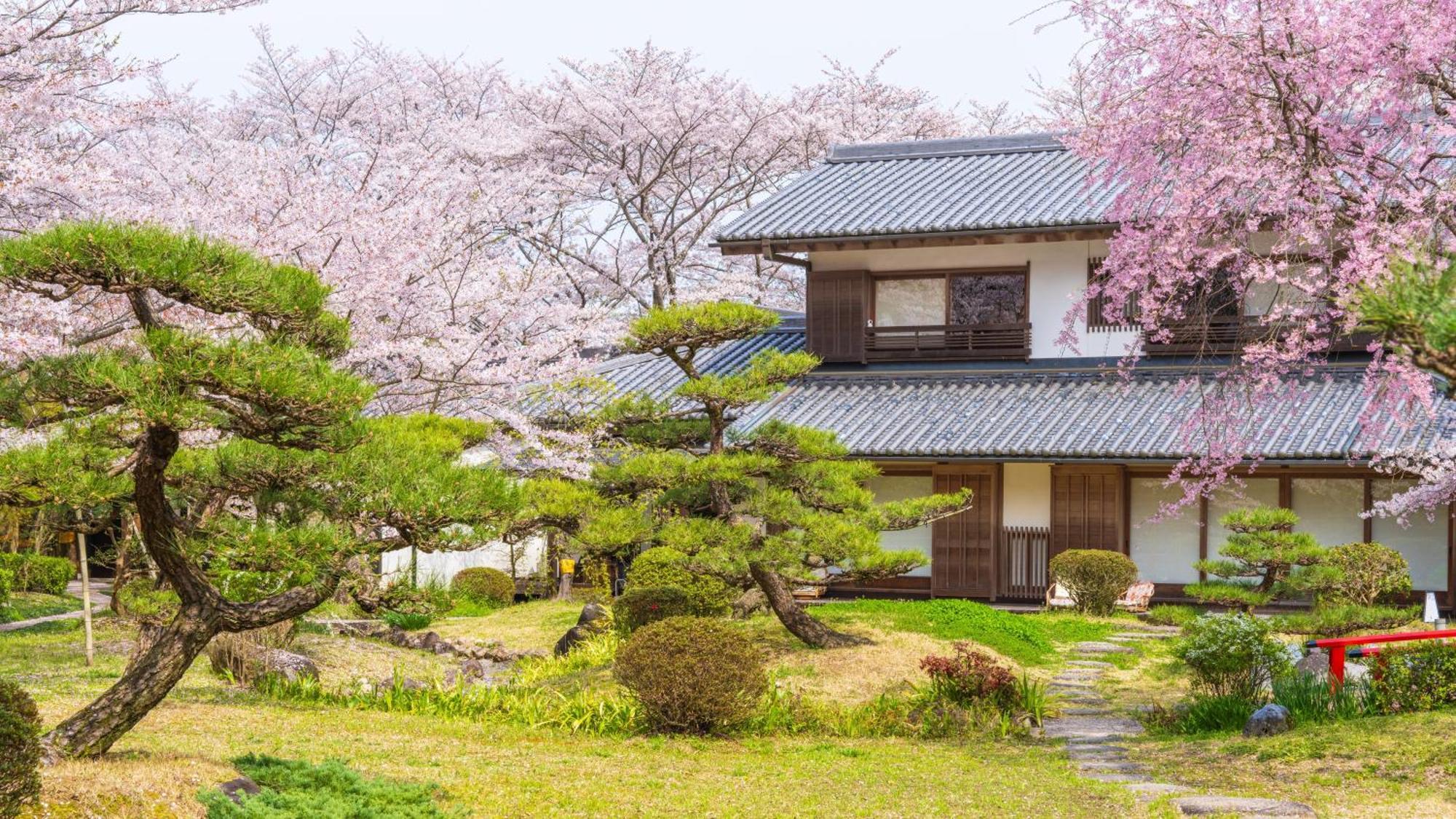 ホテル 桜泉会館 Izumi  エクステリア 写真