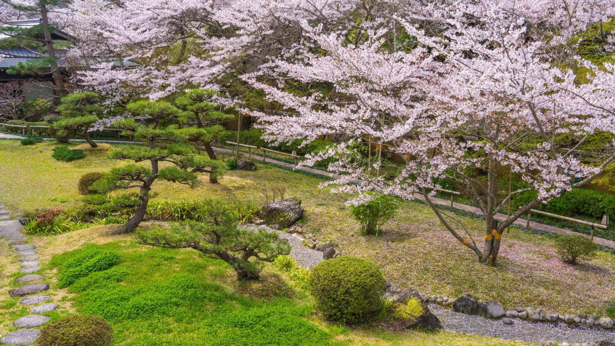ホテル 桜泉会館 Izumi  エクステリア 写真